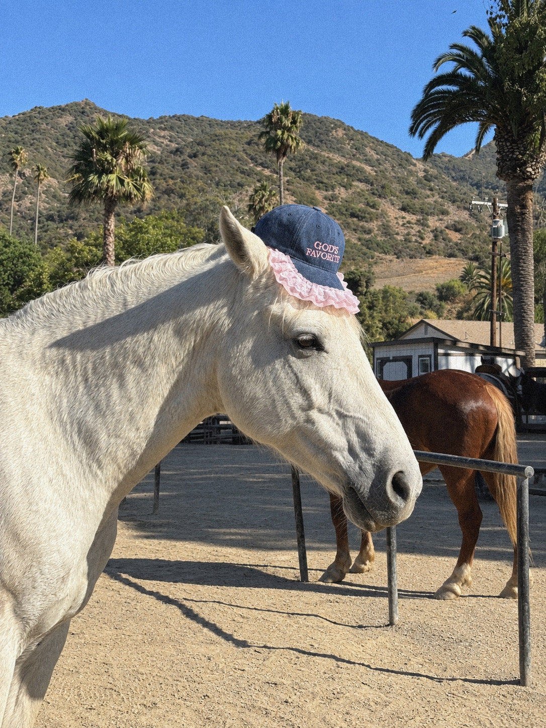 God's Favorite Custom Coquette Lace Cap
